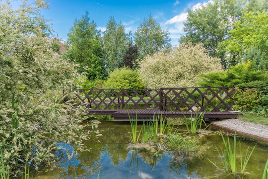 People visit a garden with a pond and a wooden bridge. Green plants and trees surround the area, and the sky is clear. It is daytime, and the setting looks lively and fresh