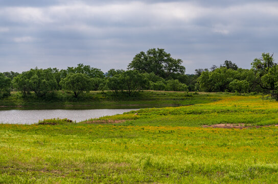 Overcast view of green grass with yellow wildflowers near a lake in Llano, Hill Country. Lush vegetation with trees lines the landscape.