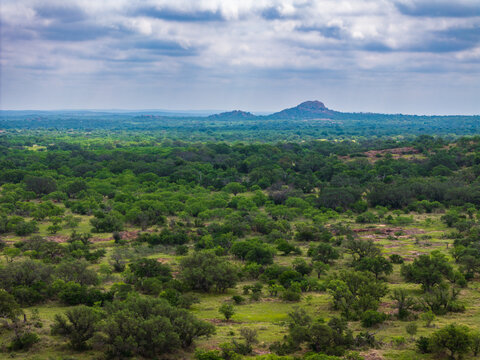 Expansive view of densely packed trees and subtle hills under a cloudy sky in Llano, Texas. Calm and serene scene with distant mountain formation.