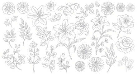 Fototapeta premium Hand-drawn line art floral elements and leaves in grey scale