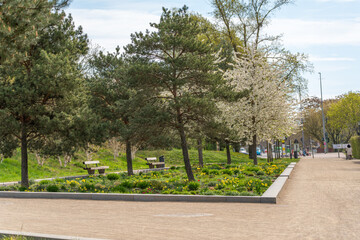 A well designed park garden features blooming trees and flower beds. Benches and paths invite relaxation in a green urban space. © Jakob