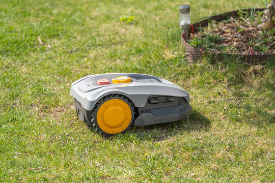 A robotic lawn mower cuts grass in a garden setting on a sunny day. The automated machine maintains a green lawn efficiently.