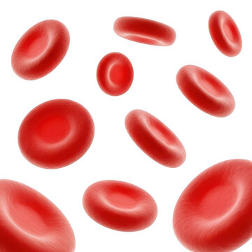 Microscopic view of red blood cells in a clustered formation isolated on transparent background
