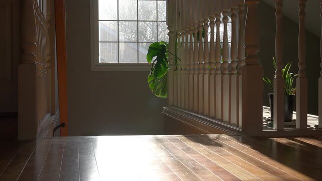 Time lapse video of a large window in front of a set of stairs going down, with a wooden balustrade. Monstera plant can be seen soaking up the light from the large transom window. 