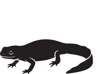 Obraz premium lizard on white background