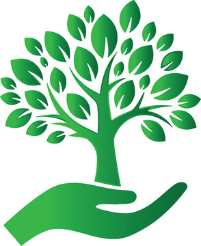 A green tree with leaves in a hand symbolizing eco friendly and environmental conservation