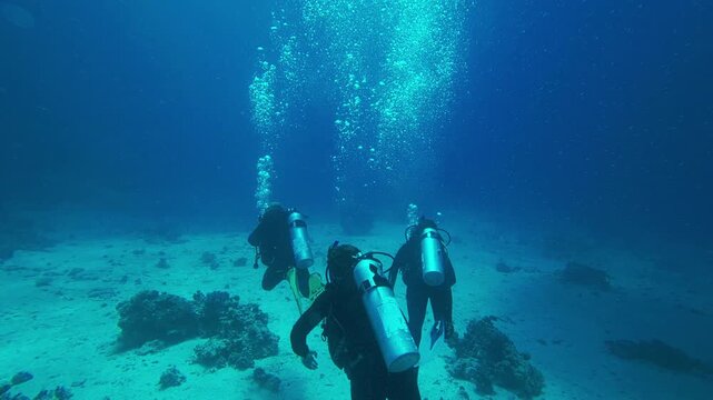 Wide underwater view of group of scuba divers swimming above sea floor surrounded by blue water and rising air bubbles. Divers move together in marine environment, exploring seabed and aquatic life
