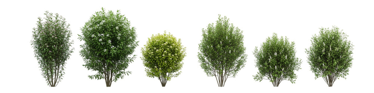 Green Bushes Collection Isolated Transparent Background Garden Shrubs Set