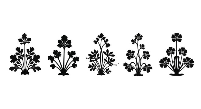 Vintage floral motifs set, black botanical silhouette elements, traditional indian mughal flower ornaments, 5 decorative plant vector icons for pattern design