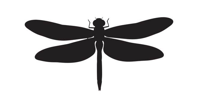Dragonfly silhouette vector illustration icon for animal design symbol isolated on white background featuring insect wings.