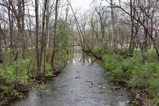 The peaceful stream on the forest.