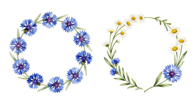 watercolor wreath, floral wreath, cornflower wreath, daisy wreath, blue flowers, white daisies, botanical illustration, floral arrangement, circle wreath, wedding decor, rustic flowers, hand painted w