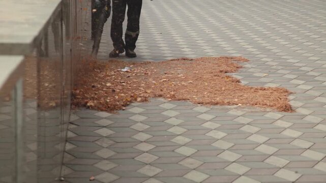  Gardener removes foliage with a blower
