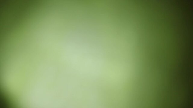 Una toma de cerca de un fondo abstracto de color verde con un degradado ligero desenfocado en movimiento