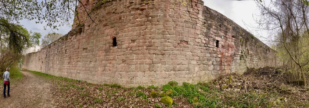 Wanderung im Kyffh&auml;user Gebirge: Die Mittelburg und der Kulpeneberg mit dem Funkturm imFr&uuml;hling w&auml;hrend der Kirschbl&uuml;te