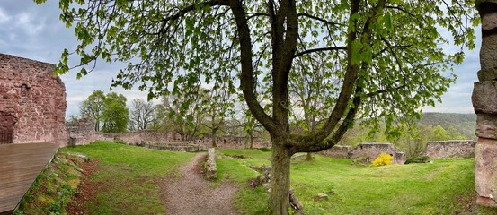 Wanderung im Kyffhäuser Gebirge: Die Mittelburg und der Kulpeneberg mit dem Funkturm imFrühling während der Kirschblüte © Jens