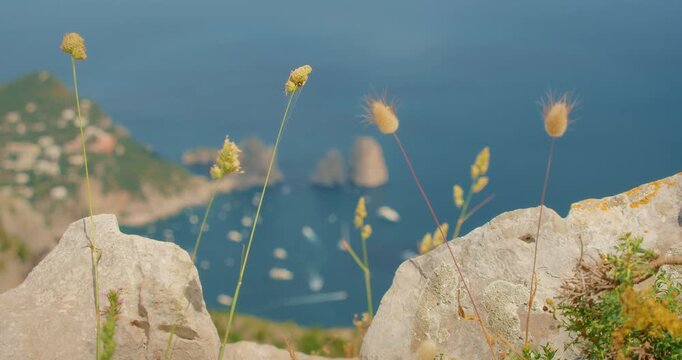 Coastal rocks overlook the distant blue sea and iconic Faraglioni cliffs in Capri Italy