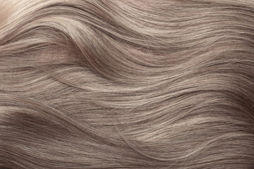Naklejka premium Blond hair close-up as a background. Women's long light brown hair. Beautifully styled wavy shiny curls. Hair coloring. Hairdressing procedures, extension.