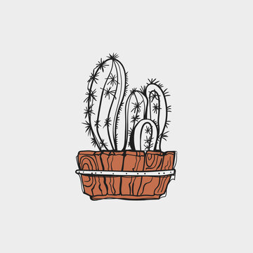 Hand Drawn Doodle Cactus in Wooden Planter Box Sketch Vector Illustration