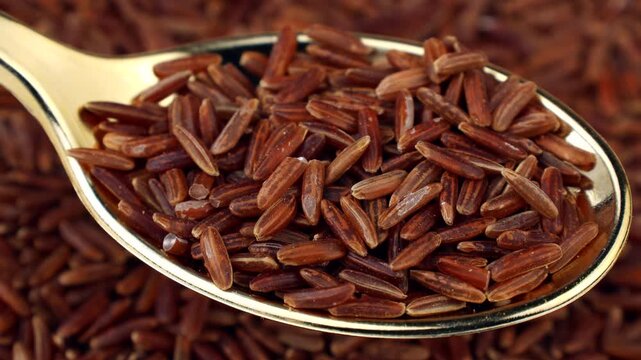 Thai Red Rice (Red Jasmine Rice) grains in the spoon with background circle rotation close up