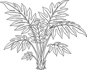 Detailed Line of a Tropical Philodendron Plant with Large Lobed Leaves leaf foliage © Md_Rakib