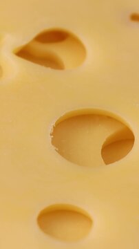 Yellow maasdam cheese slices with large holes circle rotation close up, vertical video