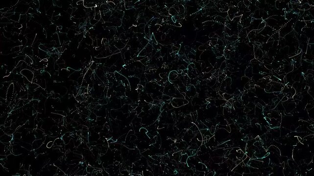 rain drops on black background motion video moves. pattern texure abstract mition 