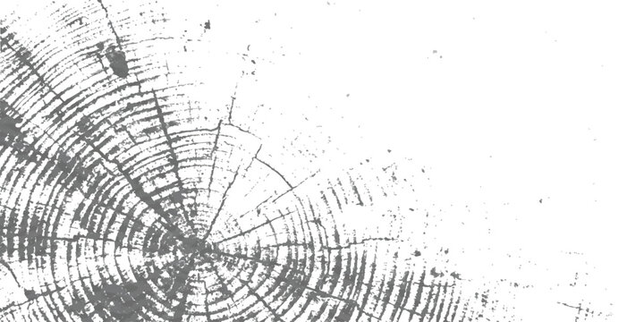 Abstract tree ring wood texture pattern monochrome vector illustration with grunge effect