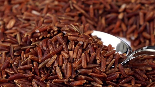 Thai Red Rice (Red Jasmine Rice) grains taking with a spoon close up