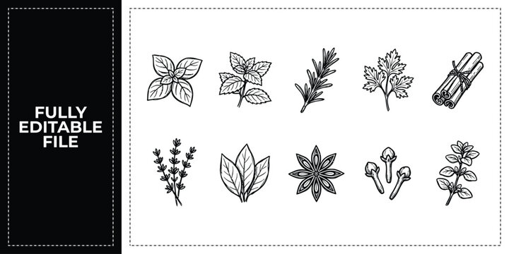 Hand Drawn Herbs Mint Basil and Spices Leaves Doodle Icon Set Sketch Vector EPS