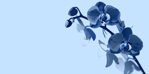 A striking blue orchid branch against a pale blue background © SreemotiAroti