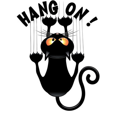 'HANG ON' Text Funny Black Cat Meme Hanging on Vector illustration isolated on White EPS file

