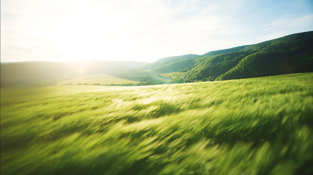 Green field with rolling hills symbolizing trust, reliability, and security