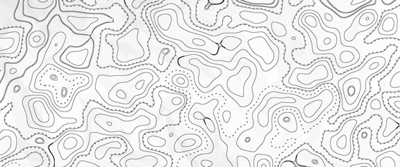 Topography background. Vector banner. Topography map background. Vector geographic contour map. Background of the topographic map. Topographic map lines, contour background. © abd