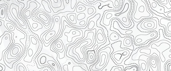 Topography background. Vector banner. Topography map background. Vector geographic contour map. Background of the topographic map. Topographic map lines, contour background. © abd