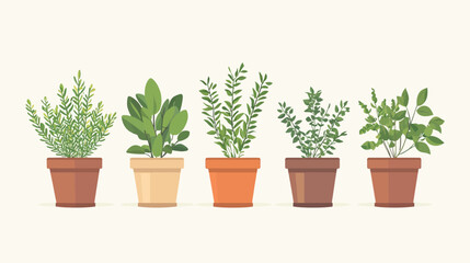 Fototapeta premium Illustration of five potted plants with diverse foliage and a neutral background