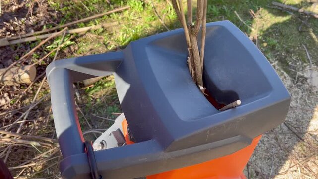 Worker feeding tree branches into garden shredder machine as wood pieces are pulled inside and cut shorter during spring yard cleanup, close up outdoor maintenance process