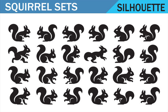 Black squirrel silhouettes collection with various playful poses on white background