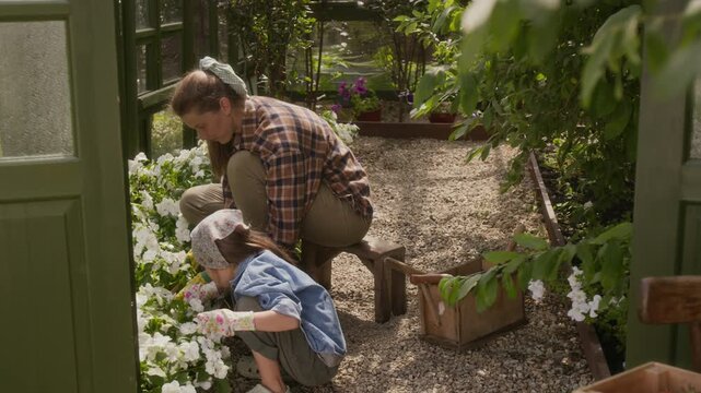 Full shot of Caucasian mother and young daughter sitting in greenhouse in summer, weeding flowerbeds and loosening soil with rake while caring for vegetables and plants at family farm