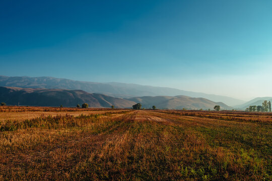 Wide field landscape with mountains under clear blue sky, Kyrgyzstan
