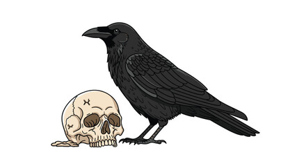 Obraz premium A detailed illustration of a large black raven standing next to a weathered human skull on a clean white background with subtle shading and textures.