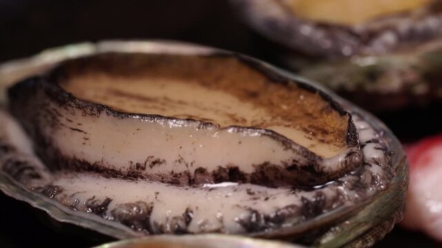 Fresh live abalone used in Korean seafood cuisine K-food