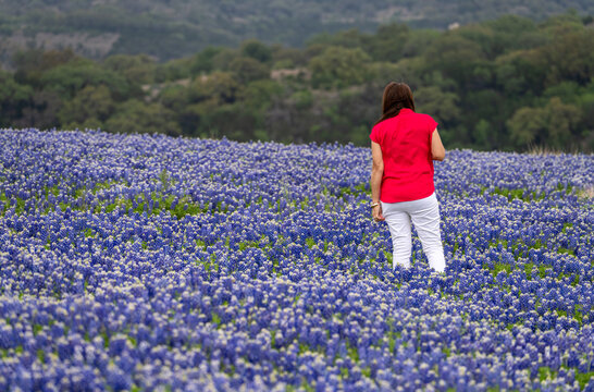 Person in a field of Texas bluebonnets at Muleshoe Bend Recreation Area, Marble Falls in Travis County. Rolling hills provide a scenic backdrop.
