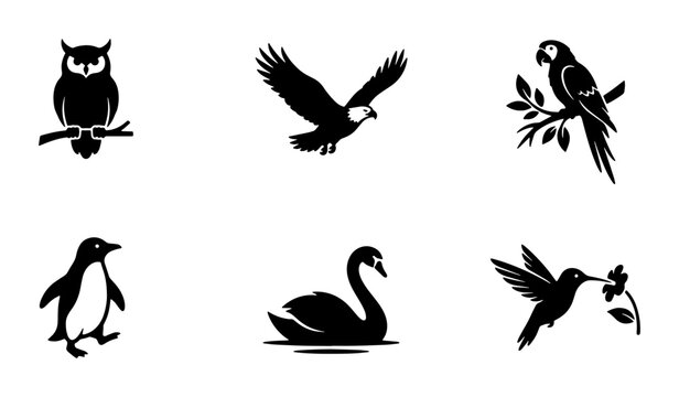 Minimalist bird silhouette icons, set of 6 black vector bird illustrations, owl eagle parrot penguin swan and hummingbird wildlife graphics