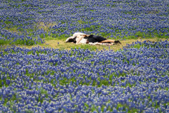 A couple relaxes in a field of bluebonnet flowers at the Muleshoe Bend Recreation Area near Marble Falls, Texas. People lying in grass on flowers.