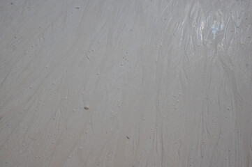 Fototapeta premium The kind of white sands you don’t forget, New Grand Bahamas, The Bahamas
