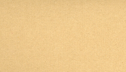 Fototapeta premium brown corrugated cardboard texture background
