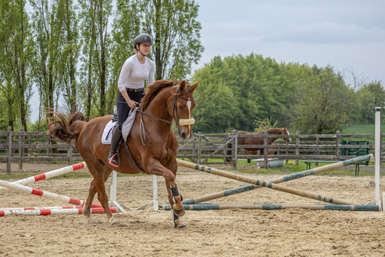 junge Frau reitet einen Fuchs im leichten Sitz beim Gymnastik-Springen im Fr&uuml;hjahr auf dem Springplatz