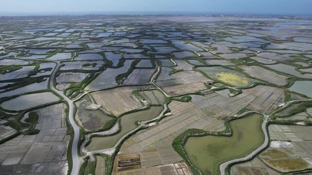 Salt marshes of Gu&eacute;rande in France, called the White Land
