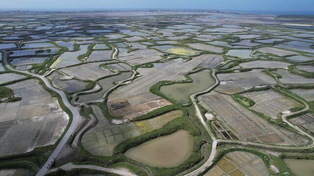 Salt marshes of Gu&eacute;rande in France, called the White Land